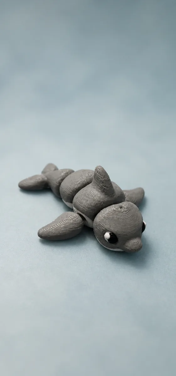 Dolphin